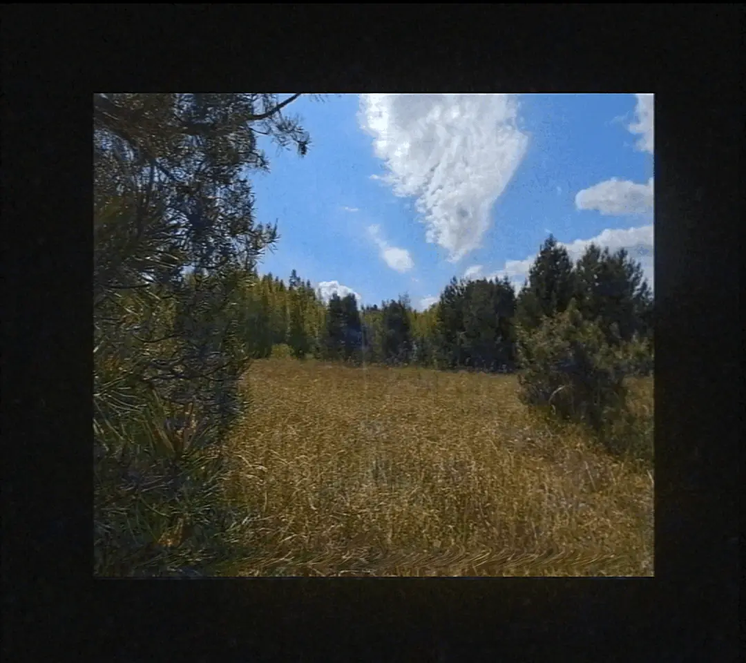 This page requares visible GIFs to work.