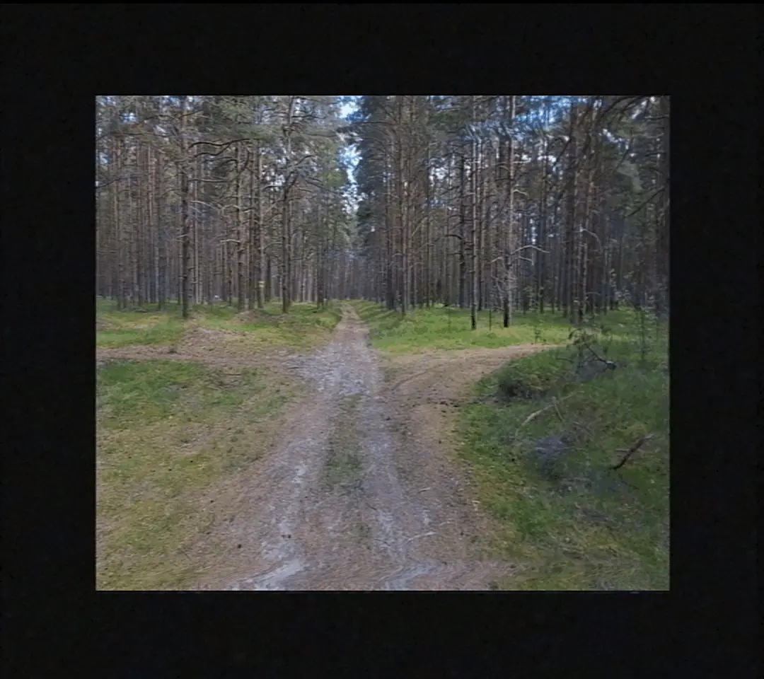 This page requares visible GIFs to work.