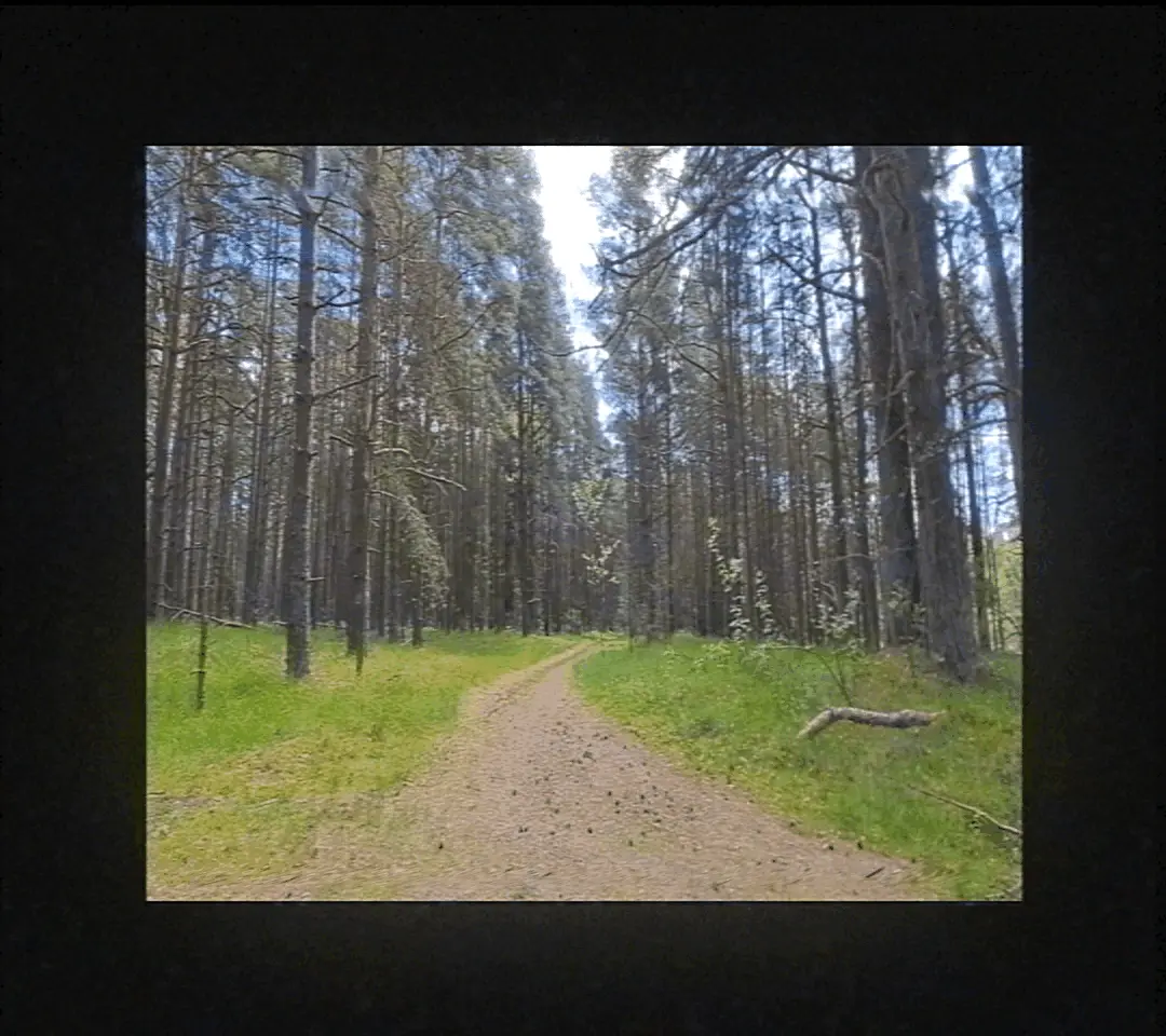 This page requares visible GIFs to work.