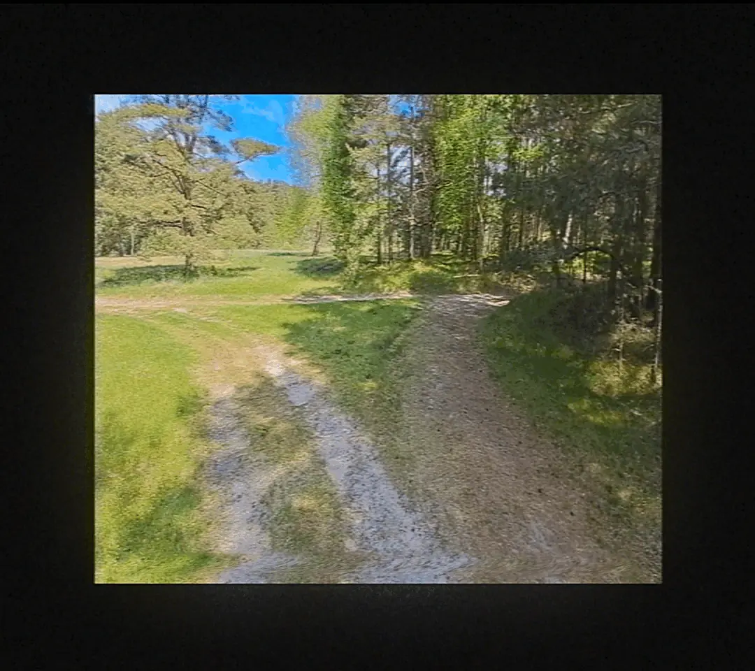 This page requares visible GIFs to work.