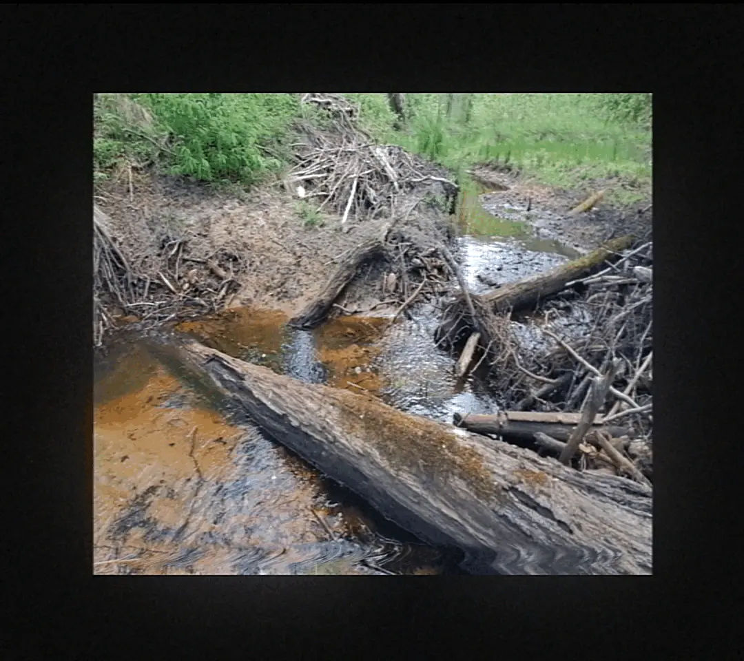 This page requares visible GIFs to work.