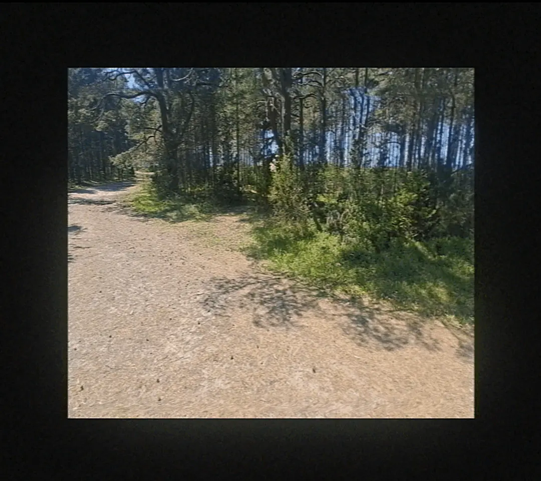 This page requares visible GIFs to work.