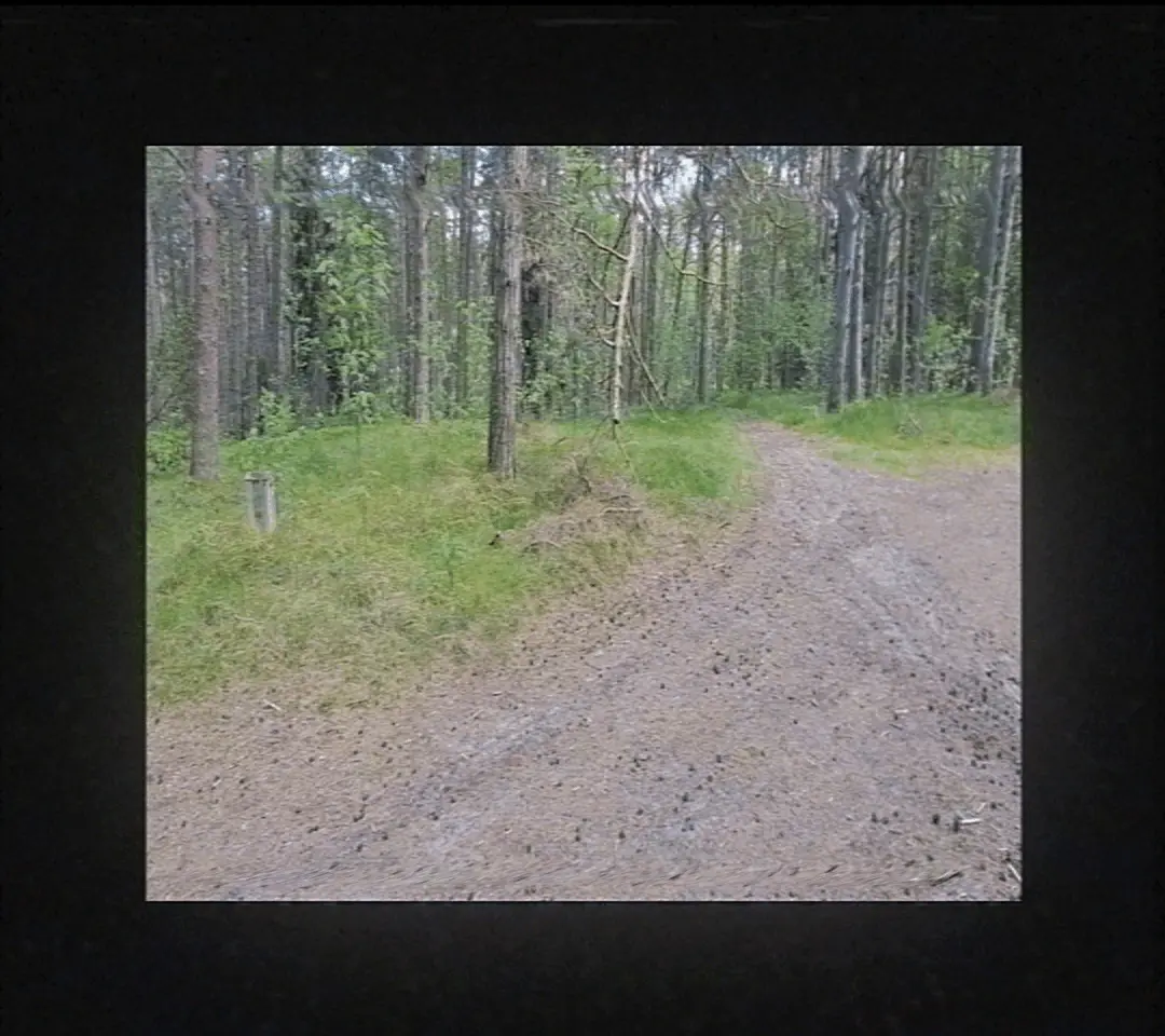 This page requares visible GIFs to work.