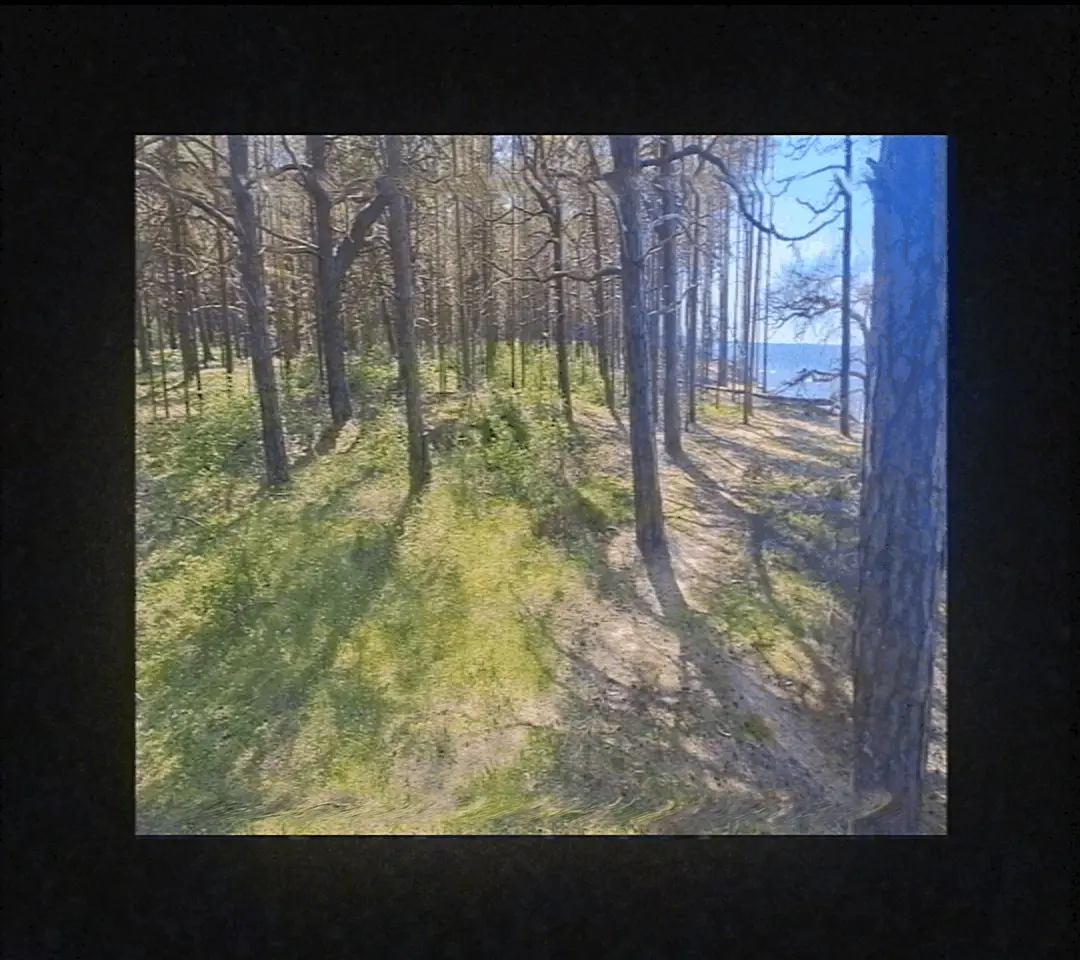 This page requares visible GIFs to work.