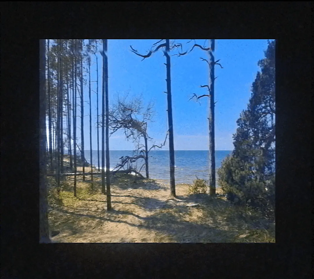 This page requares visible GIFs to work.