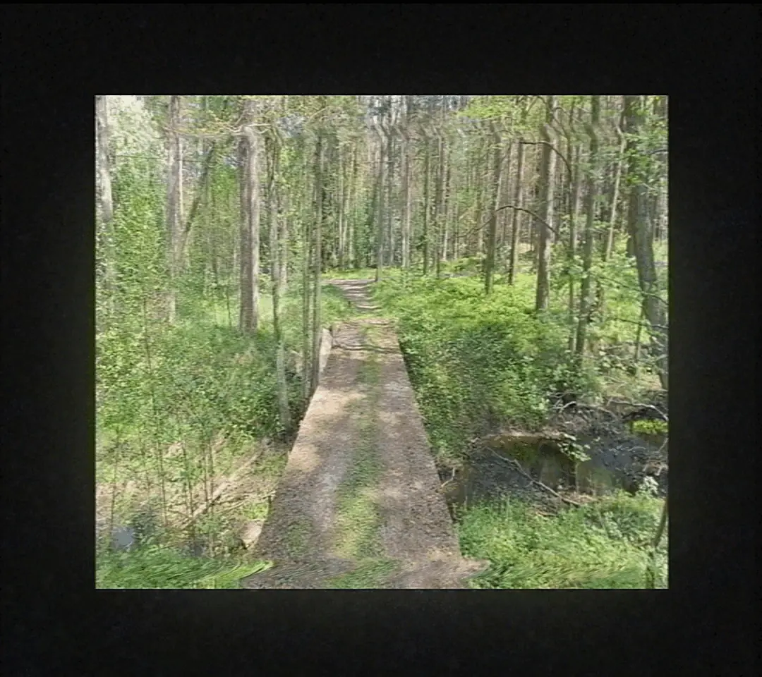 This page requares visible GIFs to work.