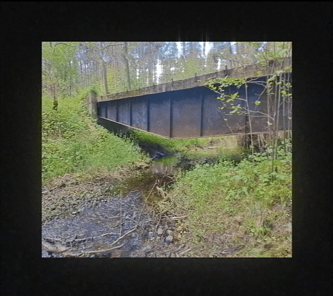 This page requares visible GIFs to work.