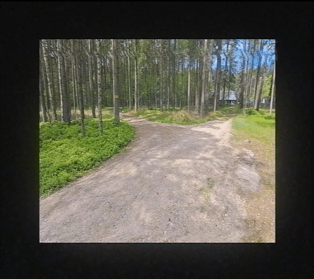 This page requares visible GIFs to work.