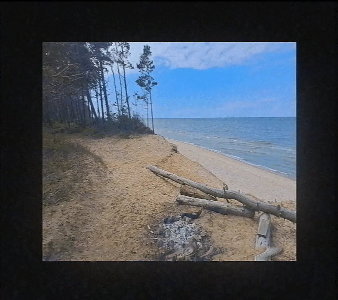 This page requares visible GIFs to work.