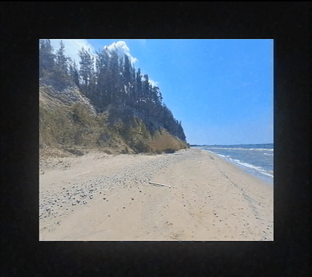 This page requares visible GIFs to work.