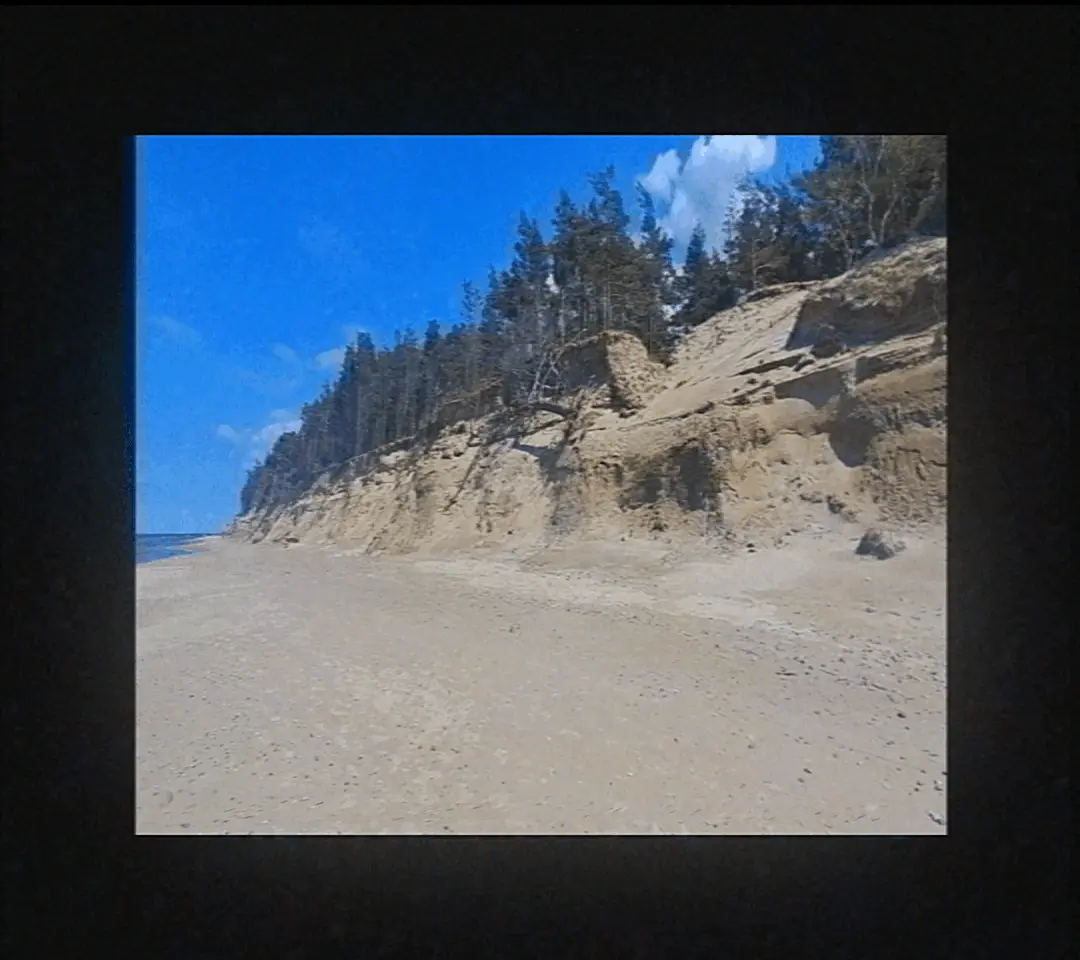 This page requares visible GIFs to work.